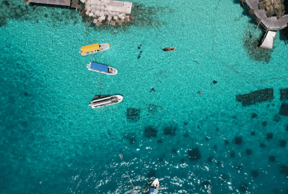 微信图片_20241012163221 (1).png