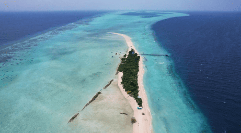 微信图片_20241012163011 (2).png