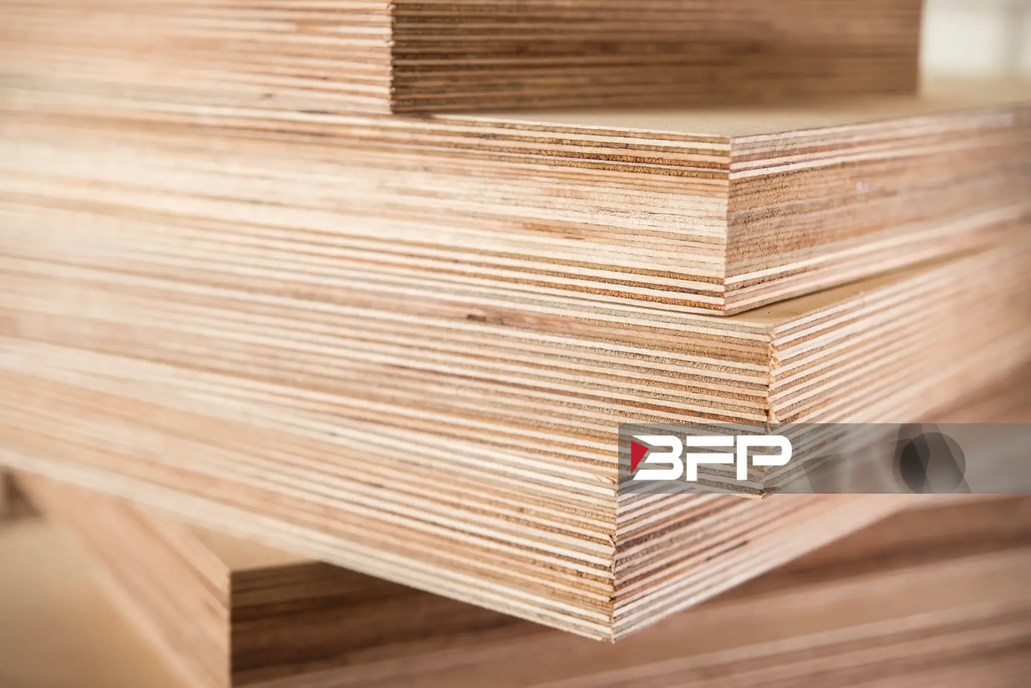 Plywood 胶合板.jpg