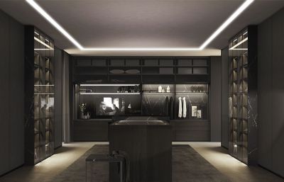 Lyxig och modern walk-in-closet