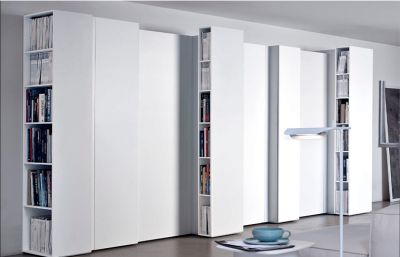 Wood Book Shelf And Different Kinds Of Grid For Living Room